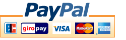 PayPal Zahlen